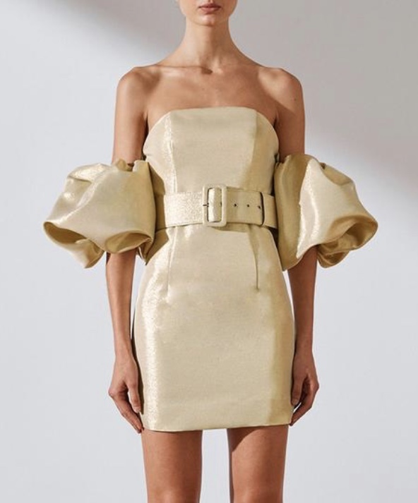 Cheap designer Shona Joy Luna Bustier Mini Dress