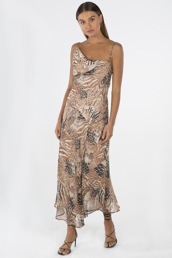 For rent a Brown Misha Collection